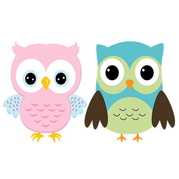 Owls and Owls
